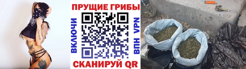 MEGA рабочий сайт как найти закладки Агрыз Галлюциногенные грибы ЛСД