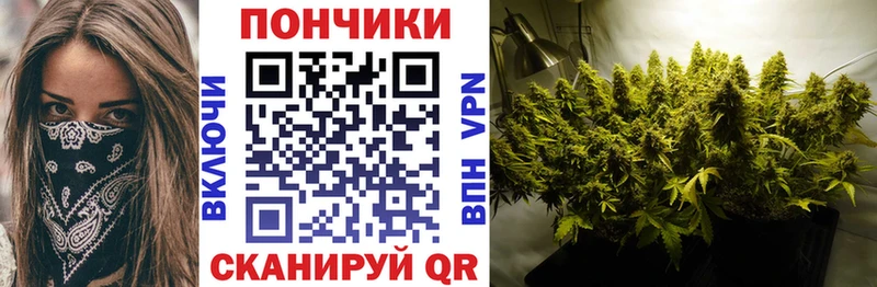 Бошки Шишки план Агрыз